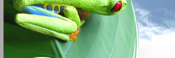 Costa Rica Travel