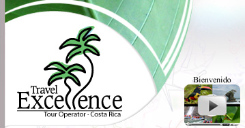 Travel Excellence Logo