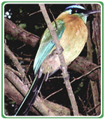 Ecotourism Costa Rica