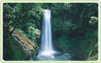 Costa Rica écotourisme