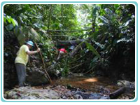 Neotropica Costa Rica