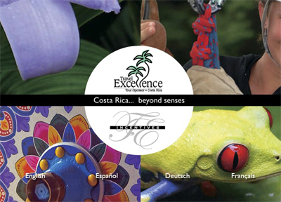 Digital Catalogue 