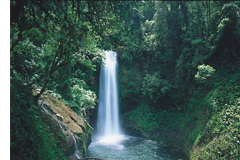 How to be a good ecotourist?