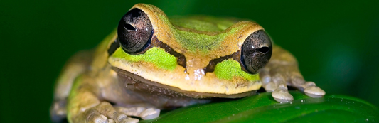 La Selva Biological Research Station