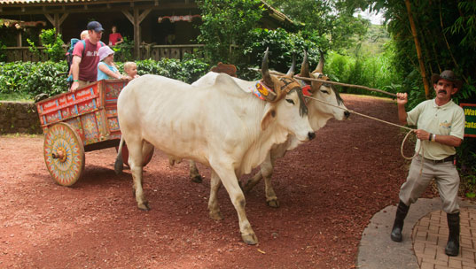 Community-based Rural Tourism Costa Rica