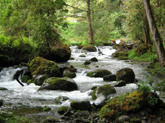 Turrialba Costa Rica