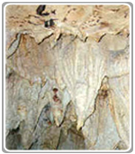 Venado Caves Costa Rica