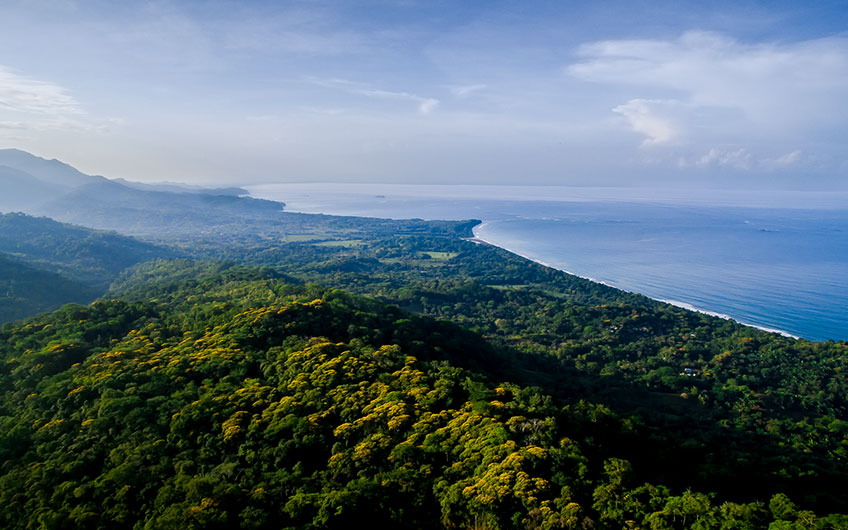 Dominical & Uvita Costa Rica Travel Guide, Tour Operator in Costa Rica