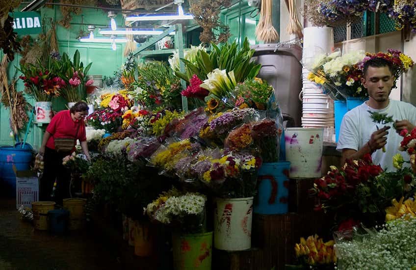 The San Jose Costa Rica market offers a wide variety of local products, farm vegetables, flowers, handmade crafts, and more.
