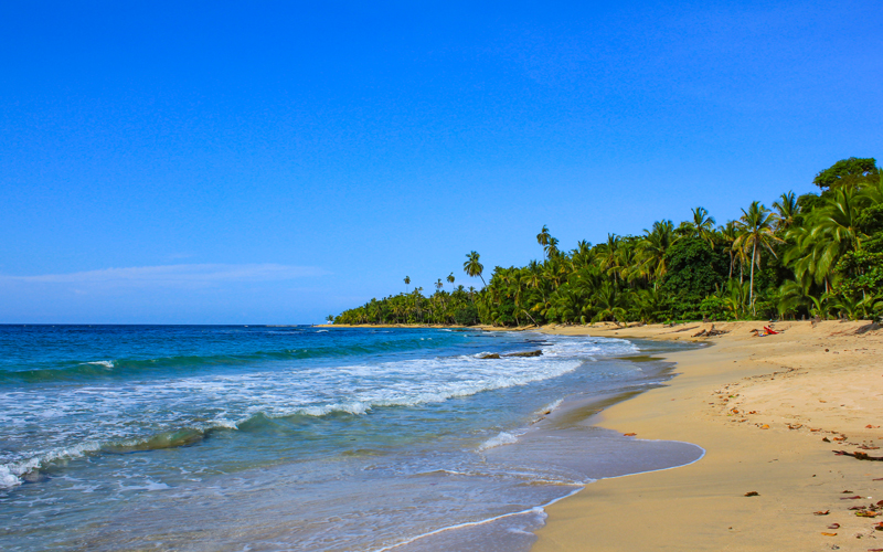 Puerto Viejo ist einer der besten Orte an der Karibikküste von Costa Rica. Der Strand mit seinen entspannten Vibes und dem tollen Essen wird Sie begeistern!