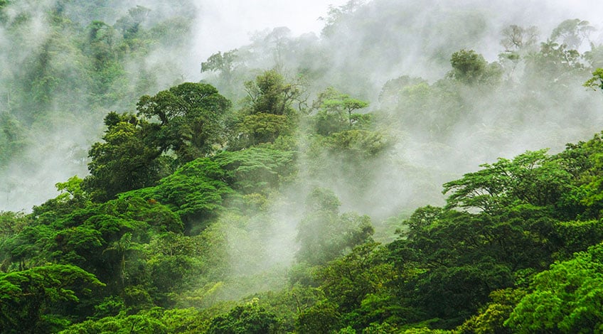 Monteverde Cloud Forest Costa Rica - Travel Excellence