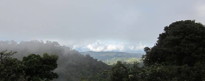 Monteverde Costa Rica Travel Guide