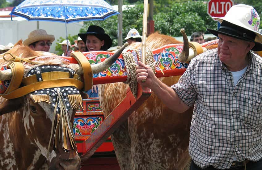 Sarchi's ox carts are colorful and handmade so it's a total spectacle to enjoy a parade of it in San Jose when you are on vacation.