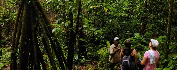 Costa Rica Reaches Global Positioning as a Reference in Sustainable Tourism